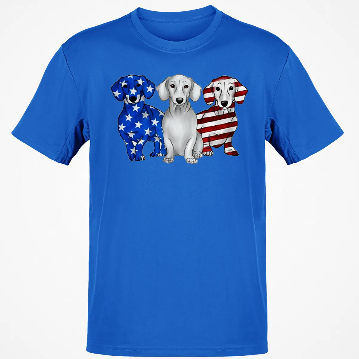 Classic Unisex T-Shirt - HTLZZM1J