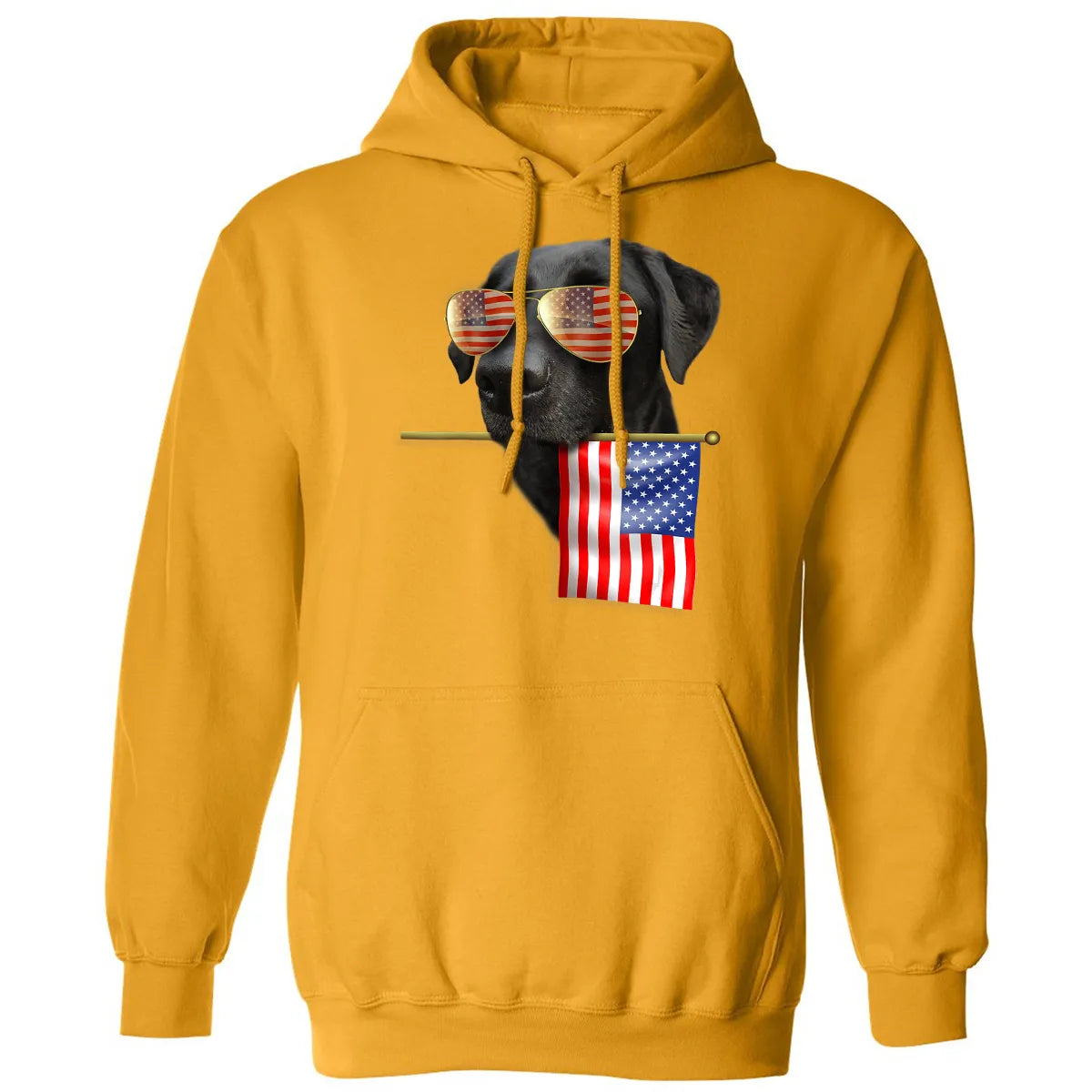 Classic Unisex Hoodie - P54WA7RR