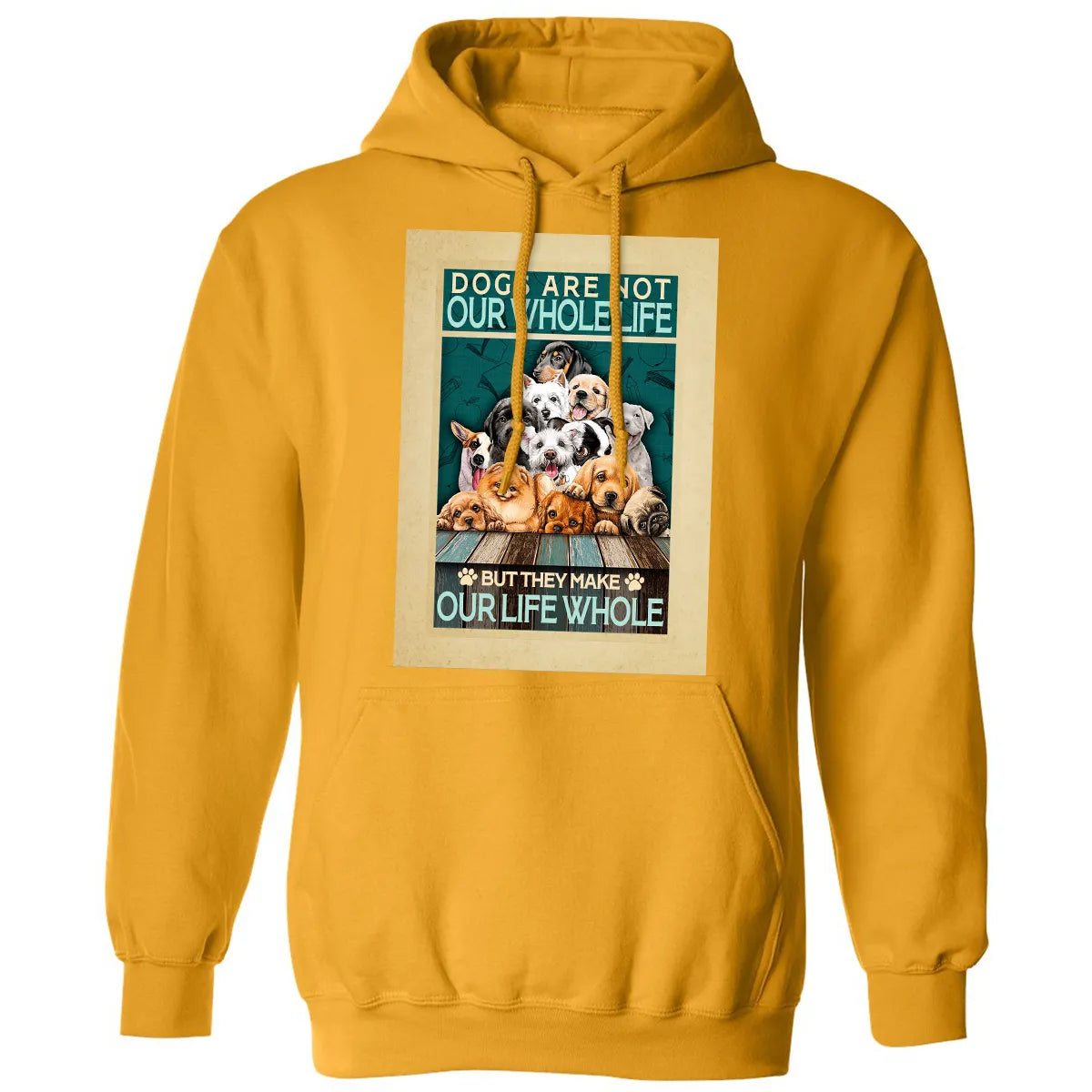Classic Unisex Hoodie - B5EA8FKJ