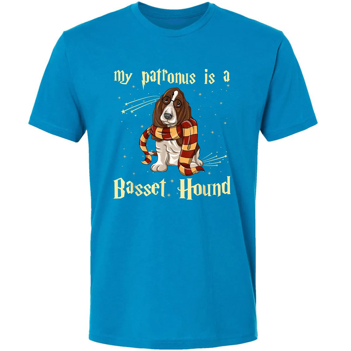 Premium Unisex T-shirt - 6F1J6RFE