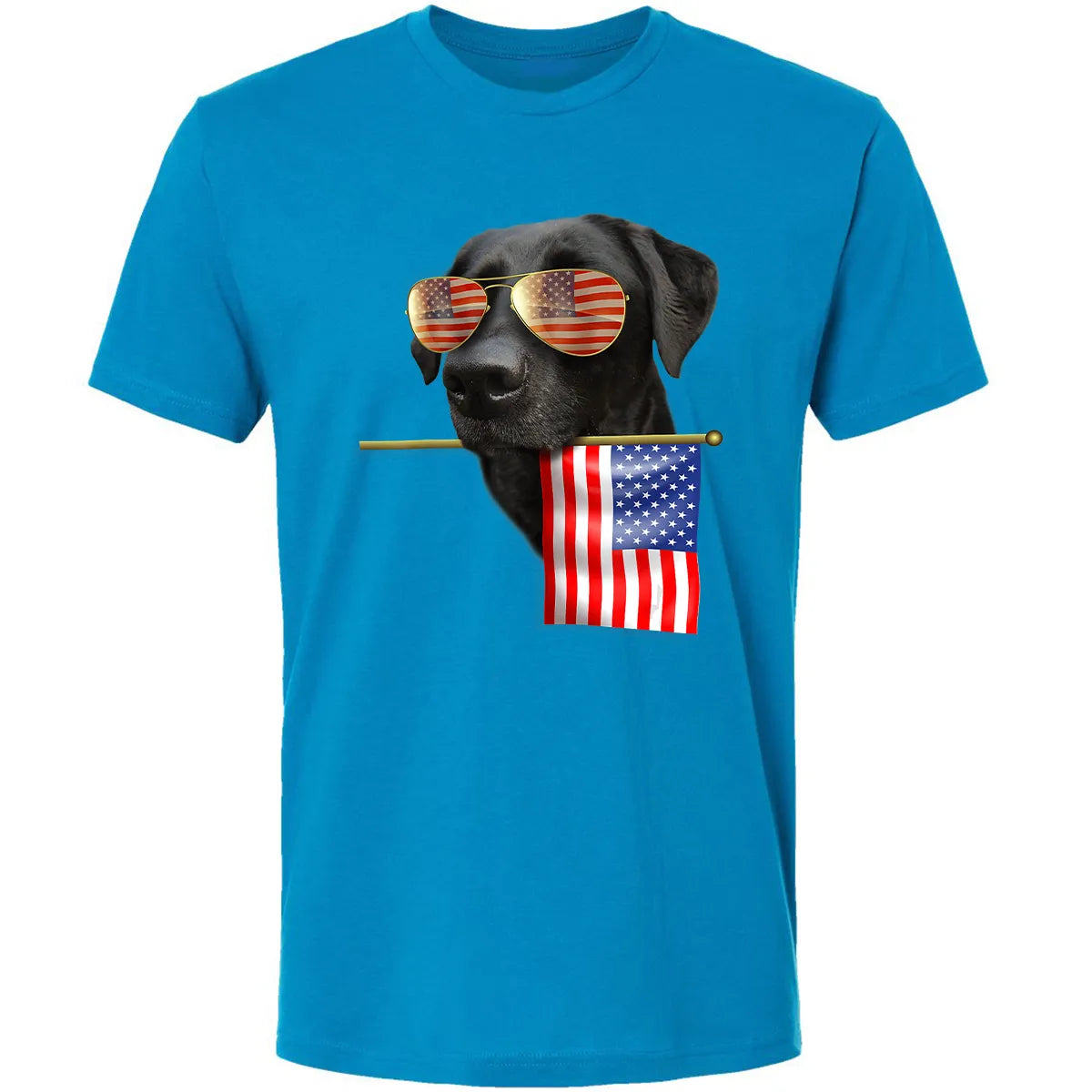 Premium Unisex T-shirt - LM9ZR4N8