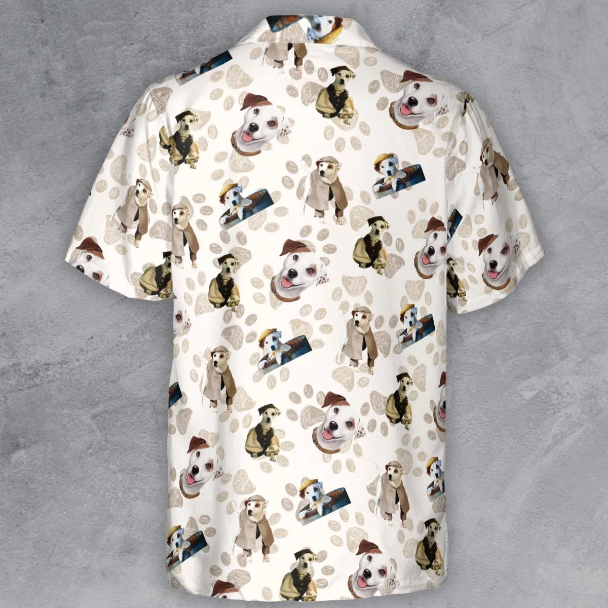 Button Down Shirt - Z317D5VX