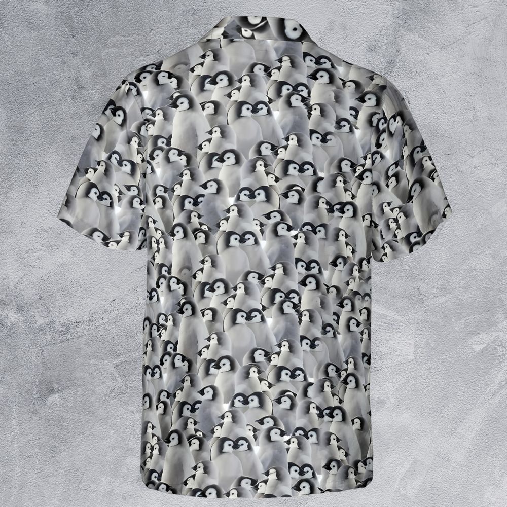 Baby Emperor penguins - - 3