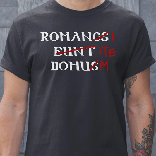 Classic Unisex T-Shirt - ZLR6C21D