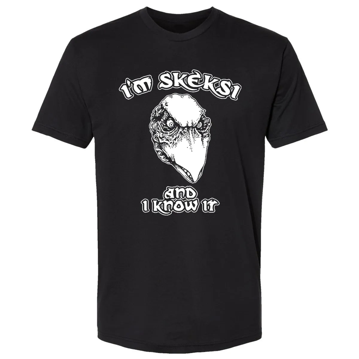 Premium Unisex T-shirt - AFEEQHAM