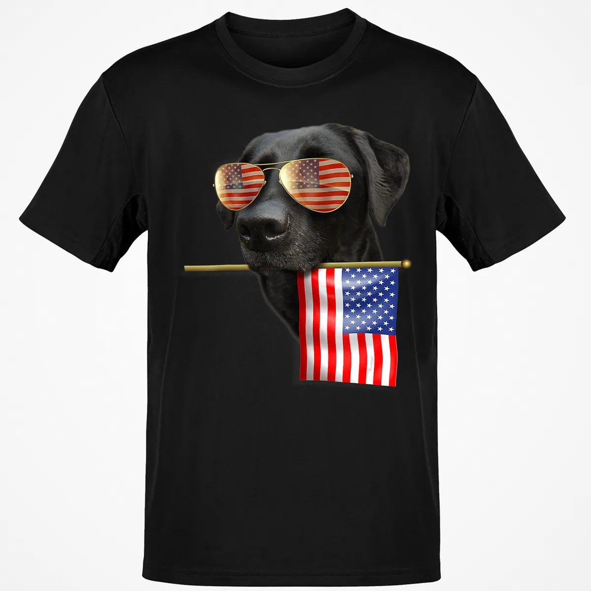 Classic Unisex T-Shirt - Z8V8J6AM