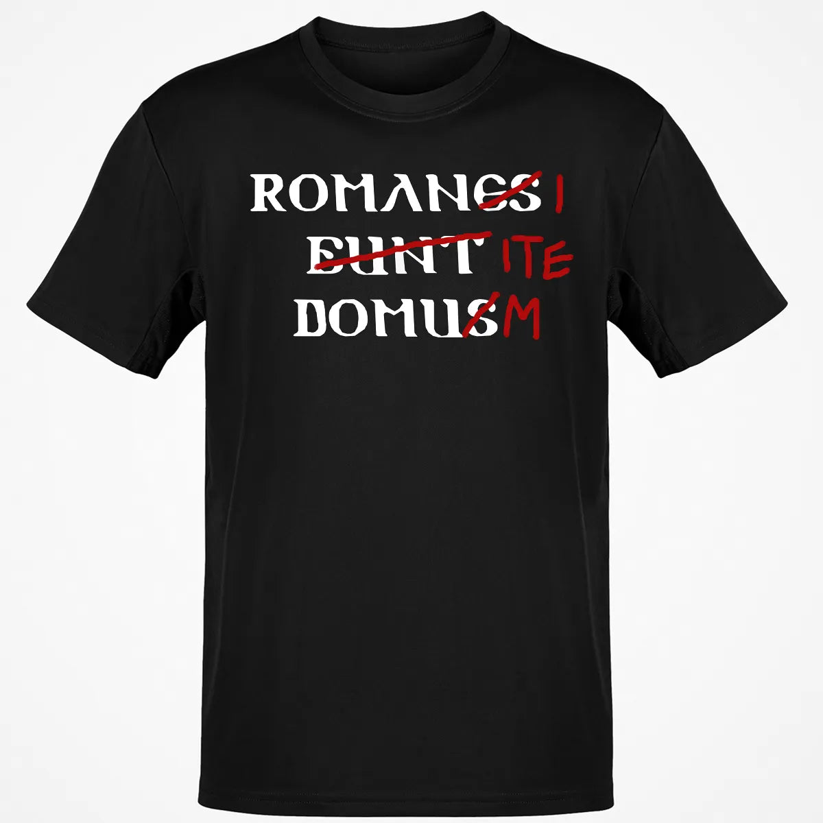 Classic Unisex T-Shirt - ZLR6C21D