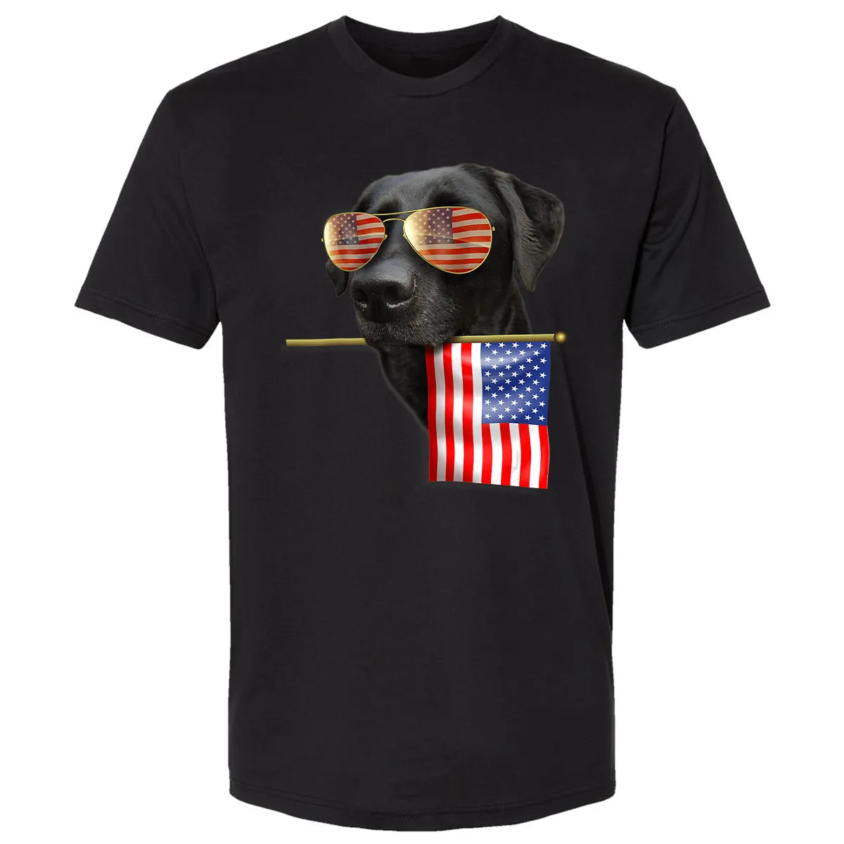 Premium Unisex T-shirt - LM9ZR4N8