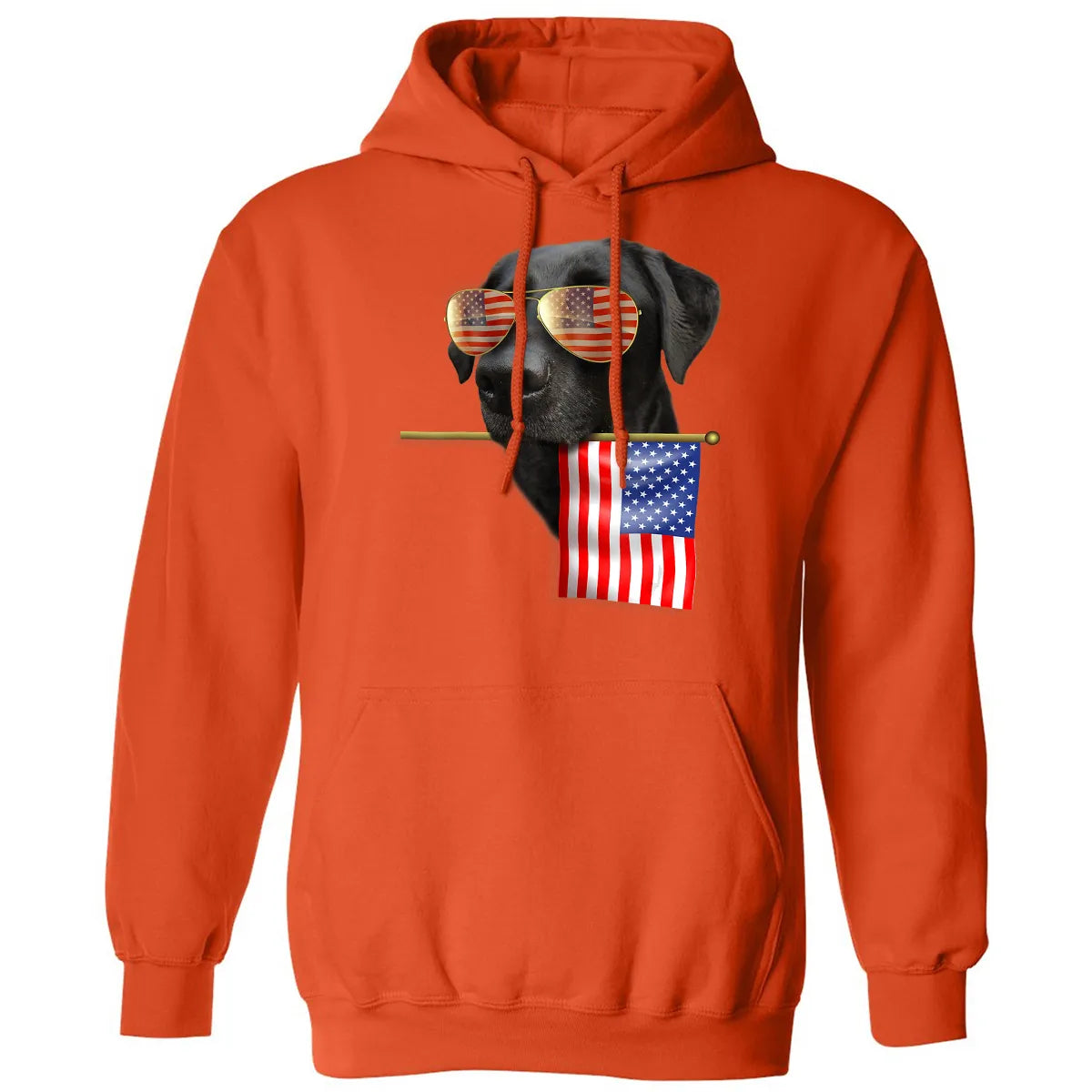 Classic Unisex Hoodie - P54WA7RR
