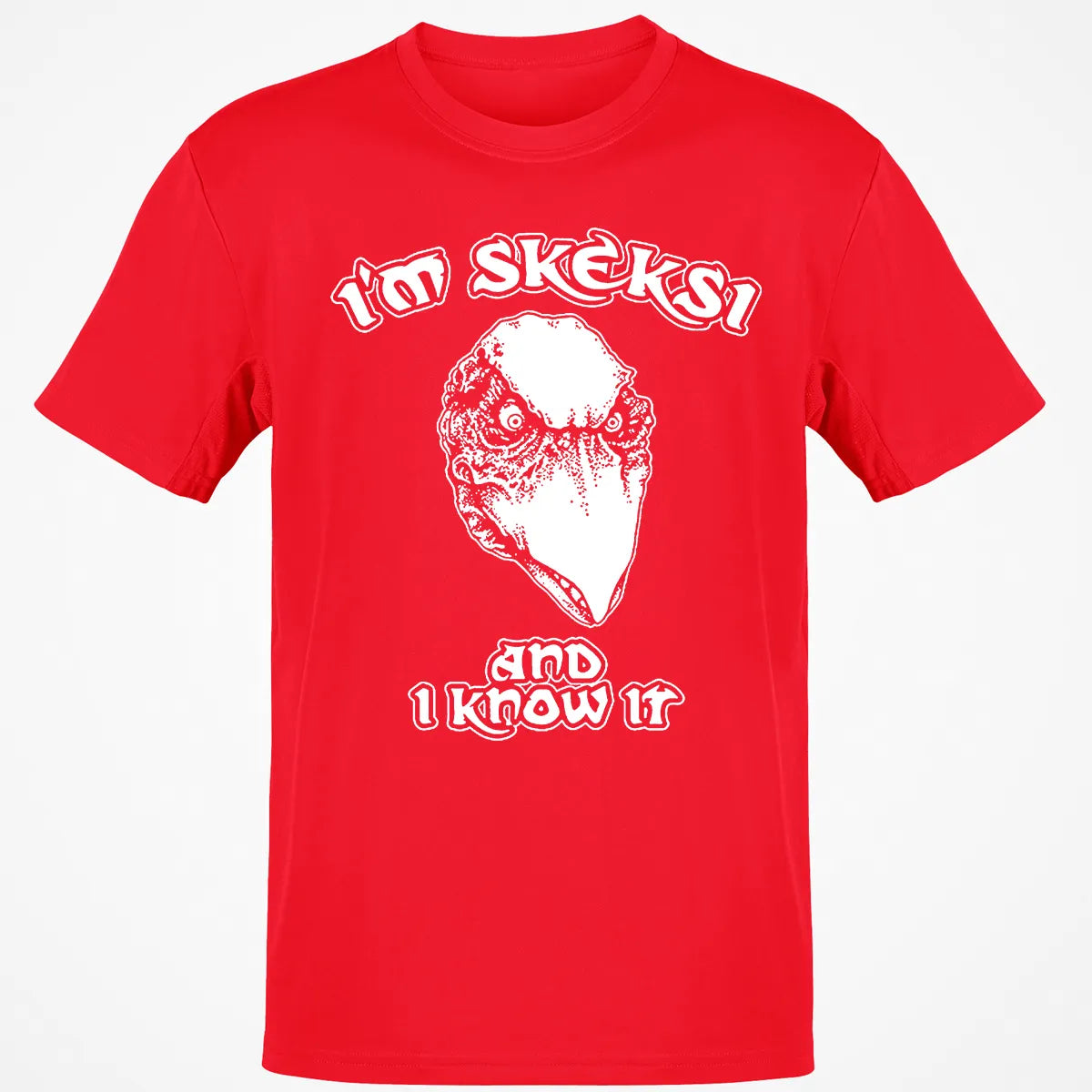 Classic Unisex T-Shirt - 3GAA83AX