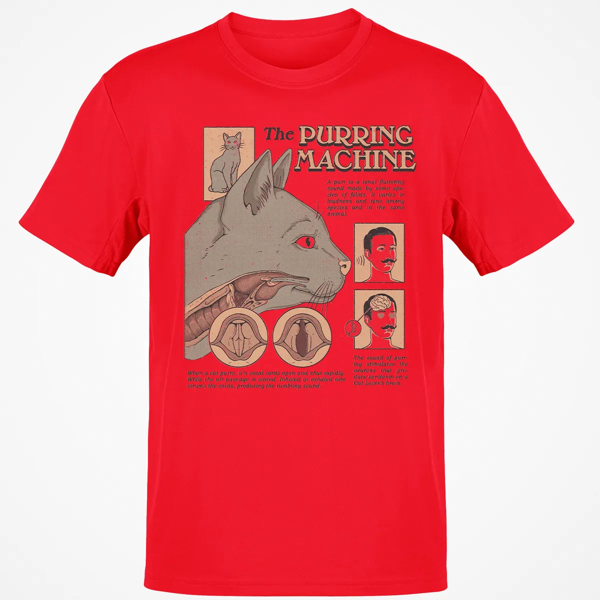 Classic Unisex T-Shirt - A5BKM2AQ