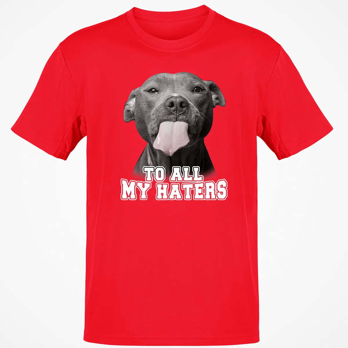 Classic Unisex T-Shirt - G7C94CXA