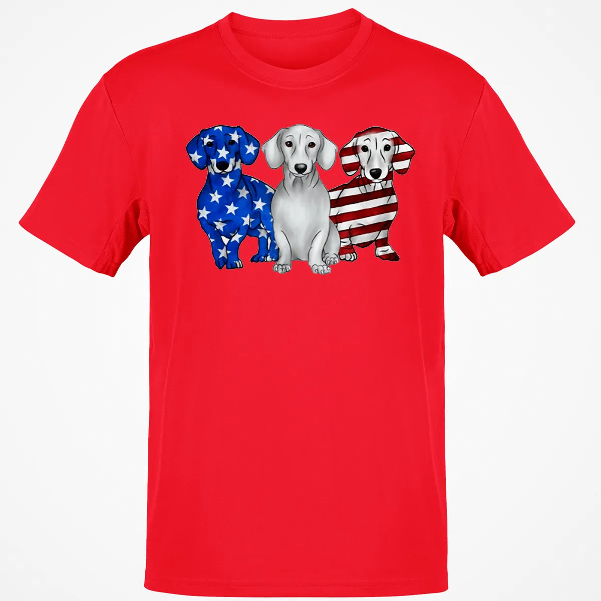 Classic Unisex T-Shirt - HTLZZM1J