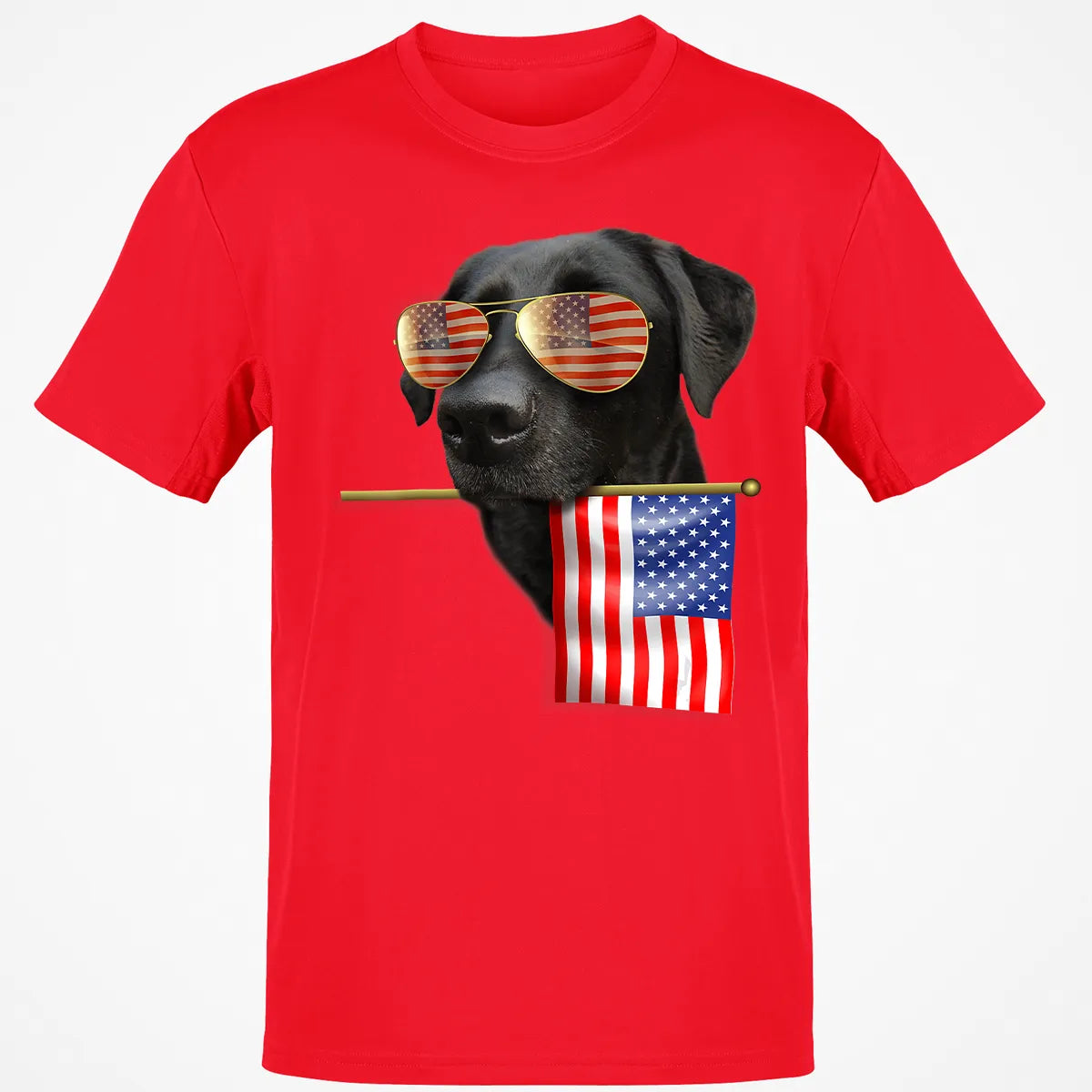 Classic Unisex T-Shirt - Z8V8J6AM