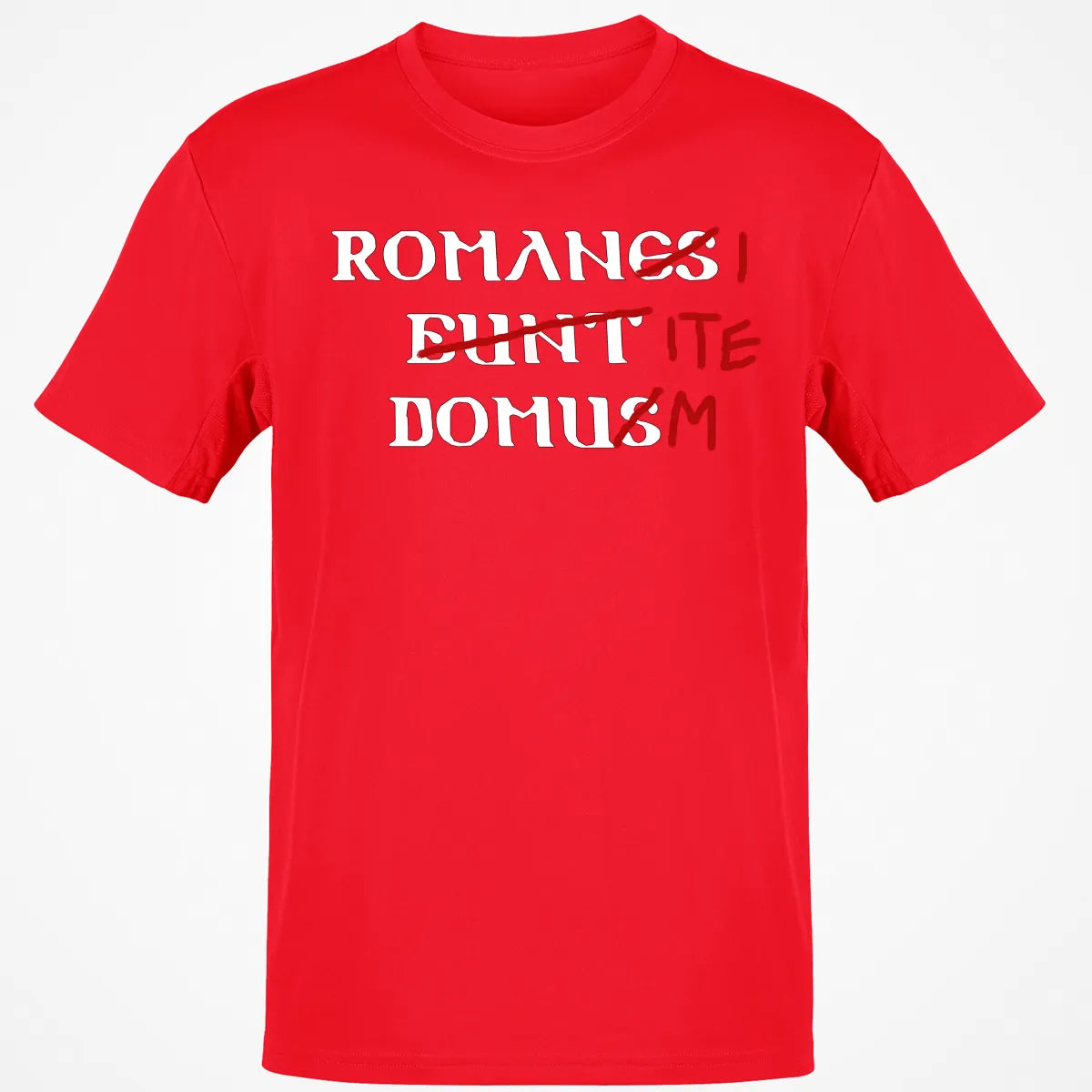 Classic Unisex T-Shirt - ZLR6C21D