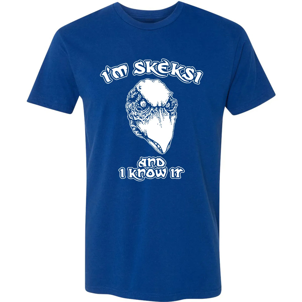 Premium Unisex T-shirt - AFEEQHAM