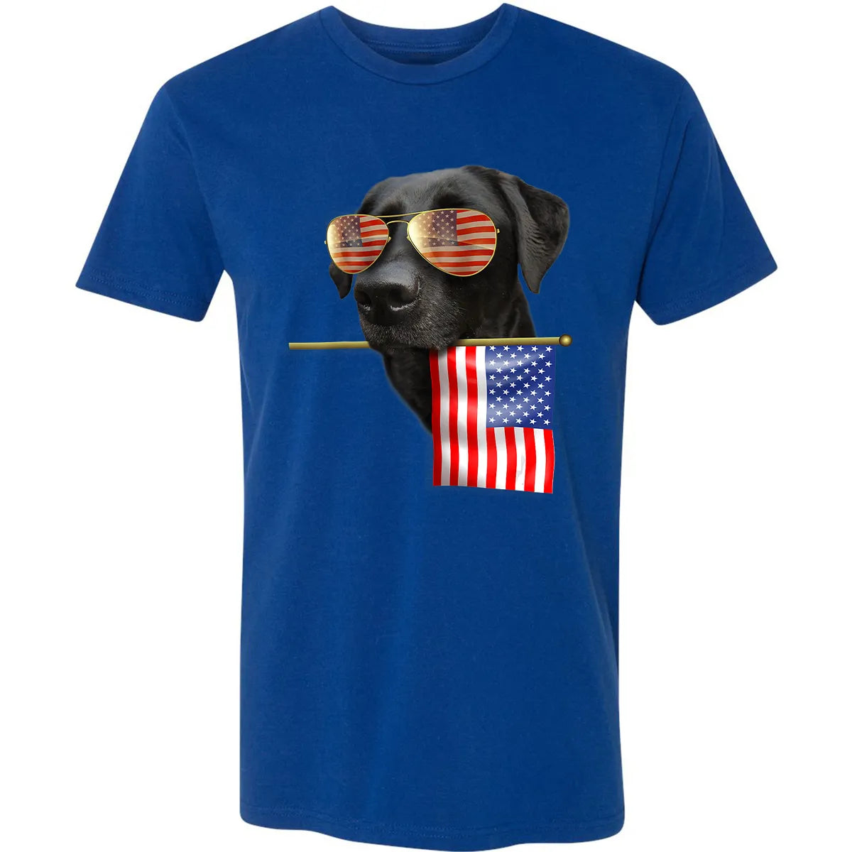 Premium Unisex T-shirt - LM9ZR4N8
