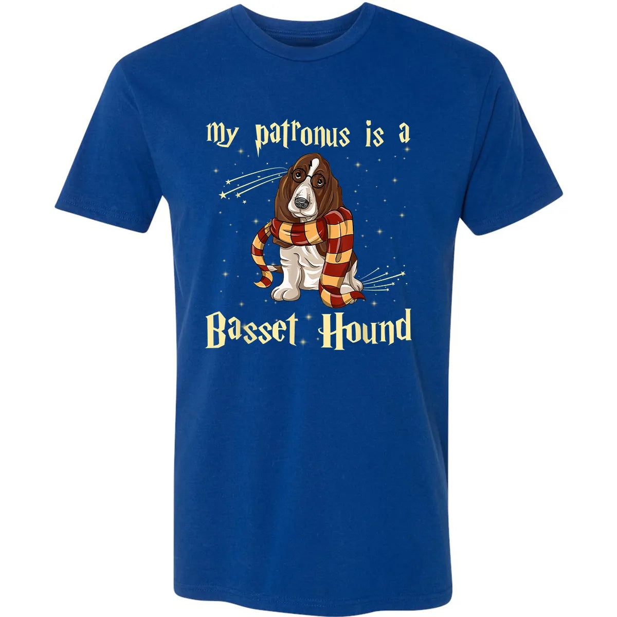 Premium Unisex T-shirt - 6F1J6RFE