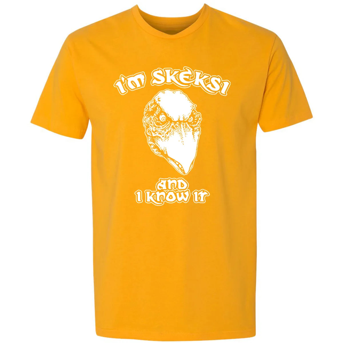 Premium Unisex T-shirt - AFEEQHAM