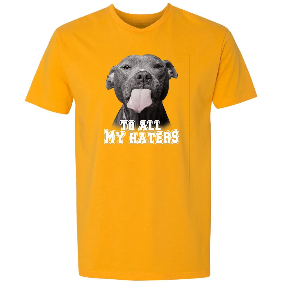 Premium Unisex T-shirt - HXXJADAJ