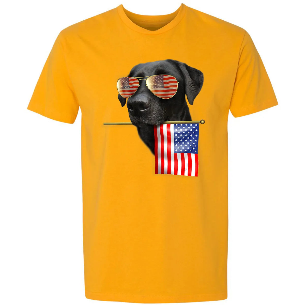 Premium Unisex T-shirt - LM9ZR4N8