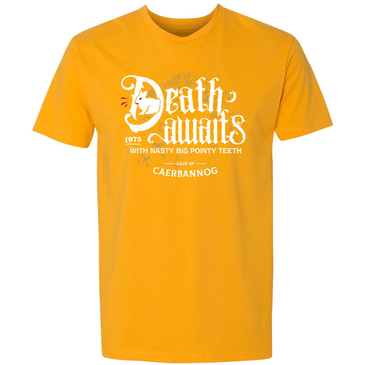 Premium Unisex T-shirt - FW89ZP48