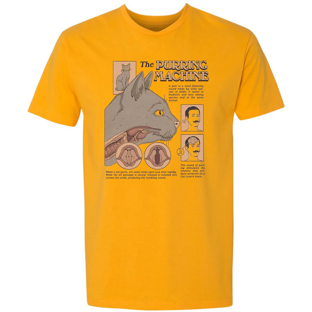 Premium Unisex T-shirt - 1AG254YF