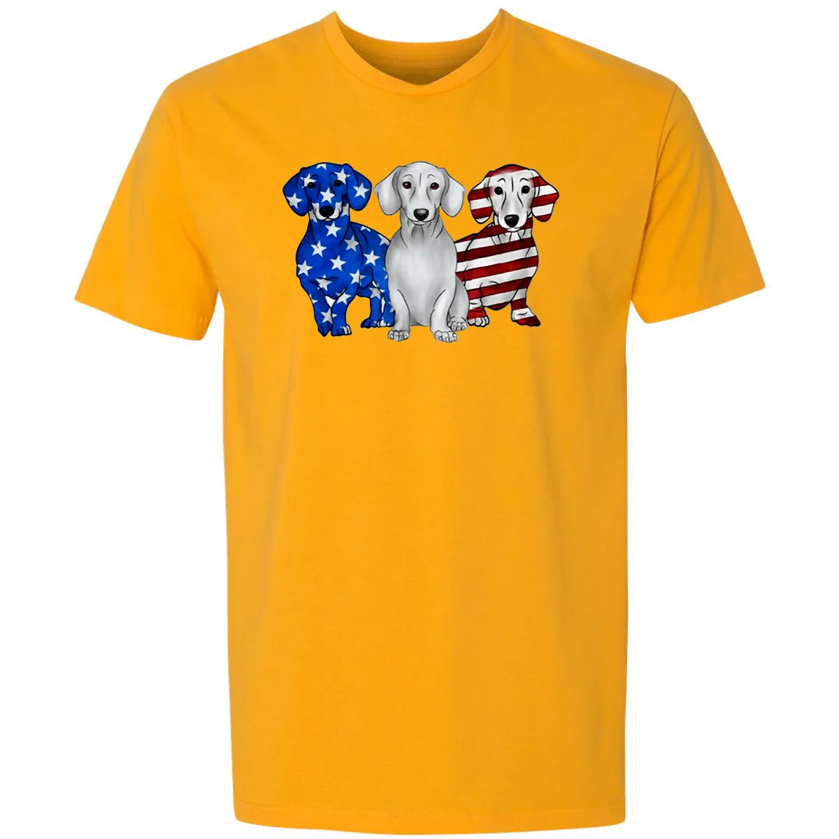 Premium Unisex T-shirt - Q6UWY73T