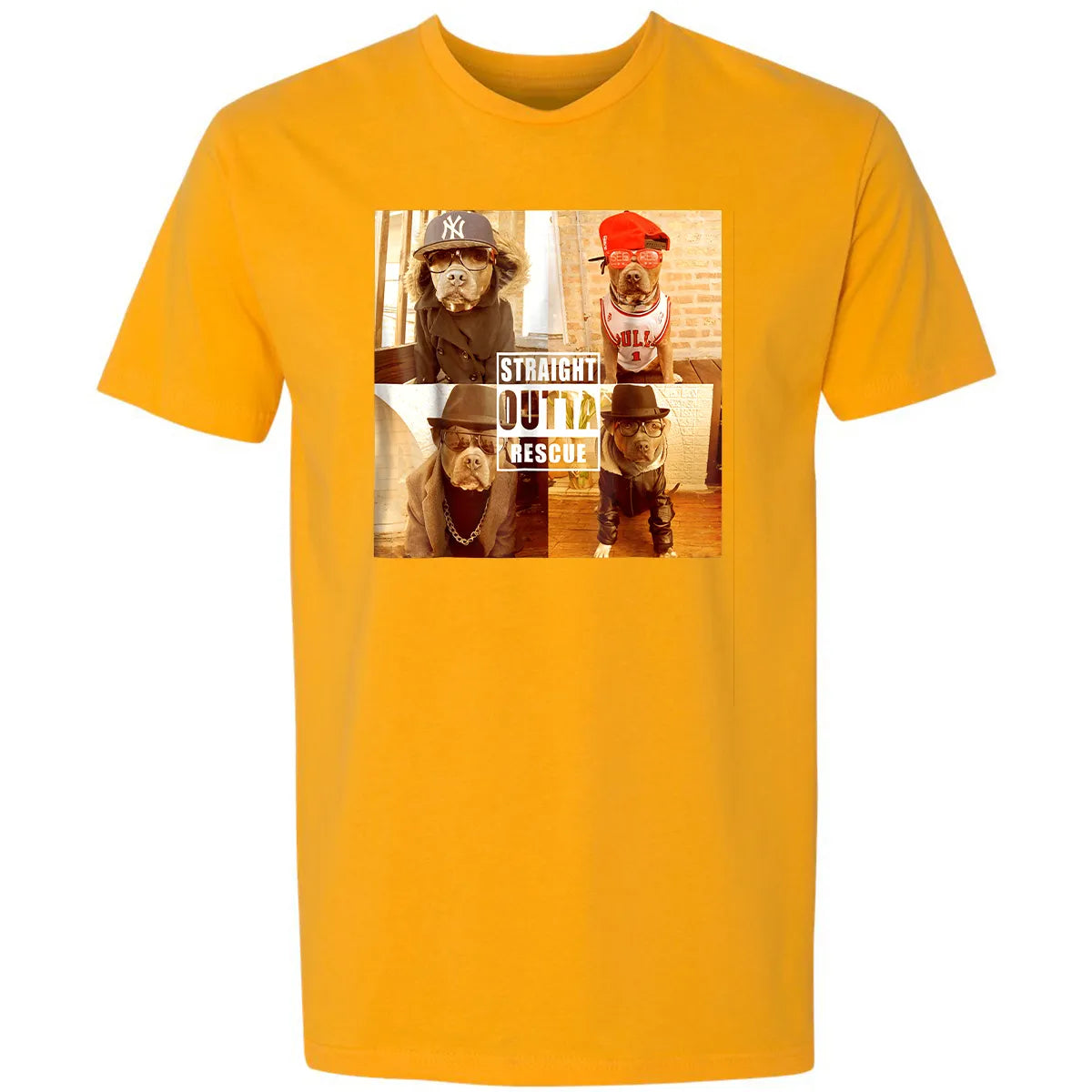 Premium Unisex T-shirt - L5Y5EQP4