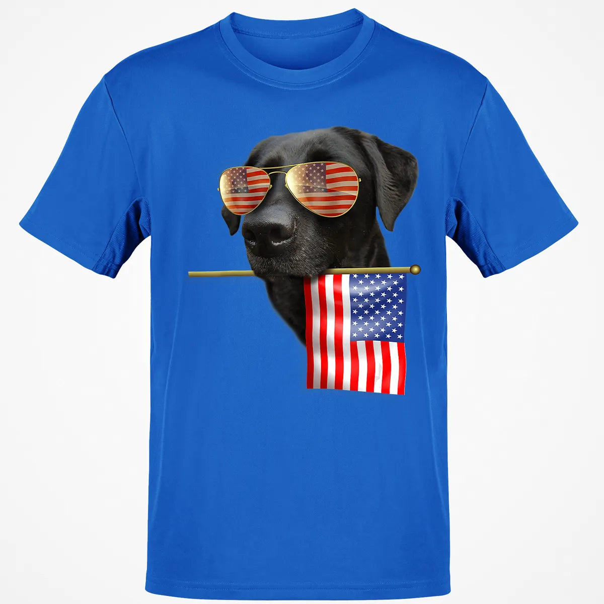 Classic Unisex T-Shirt - Z8V8J6AM