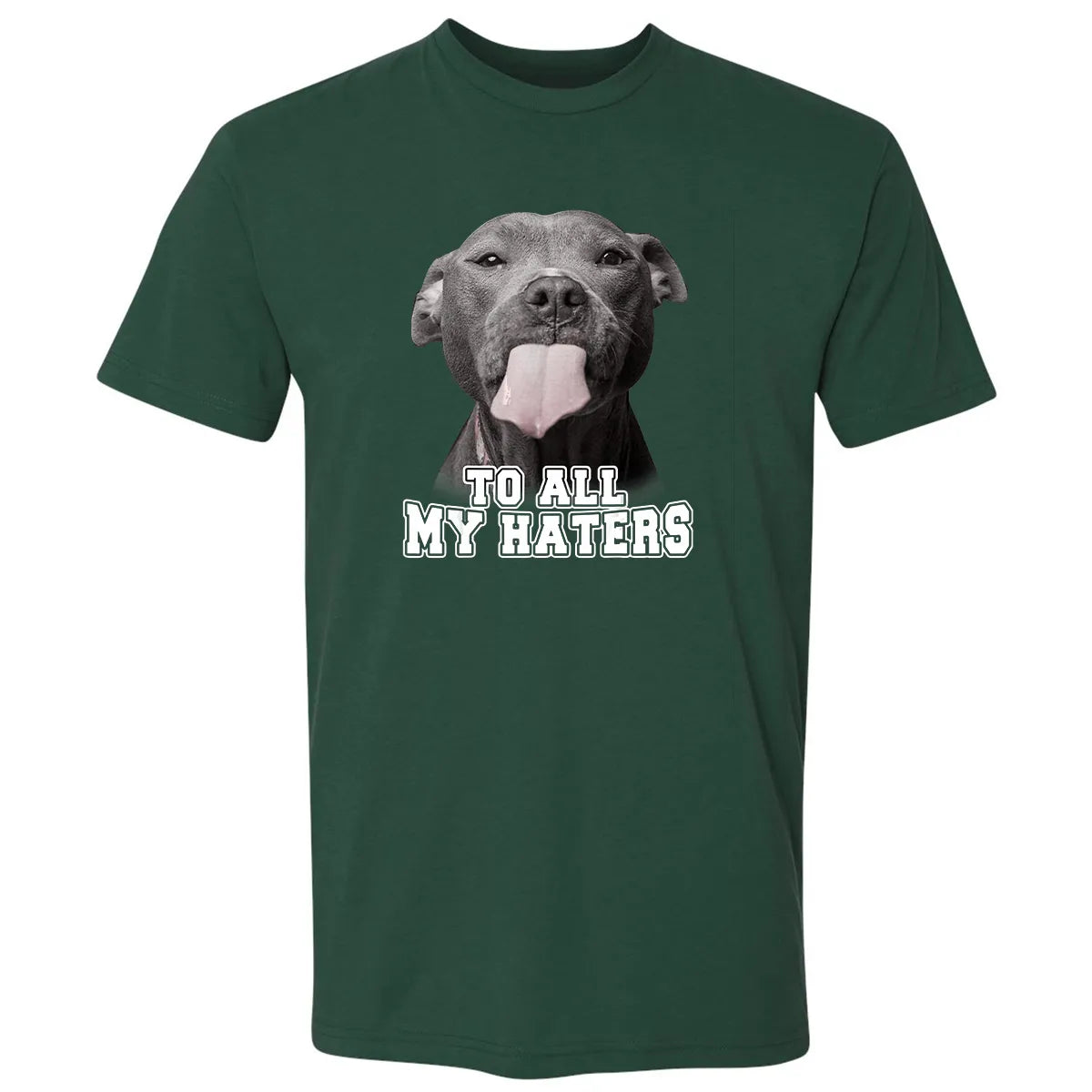 Premium Unisex T-shirt - HXXJADAJ