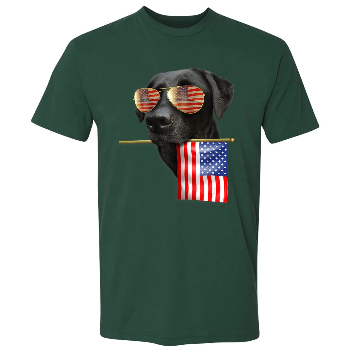 Premium Unisex T-shirt - LM9ZR4N8