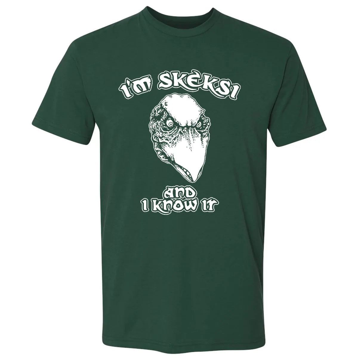 Premium Unisex T-shirt - AFEEQHAM