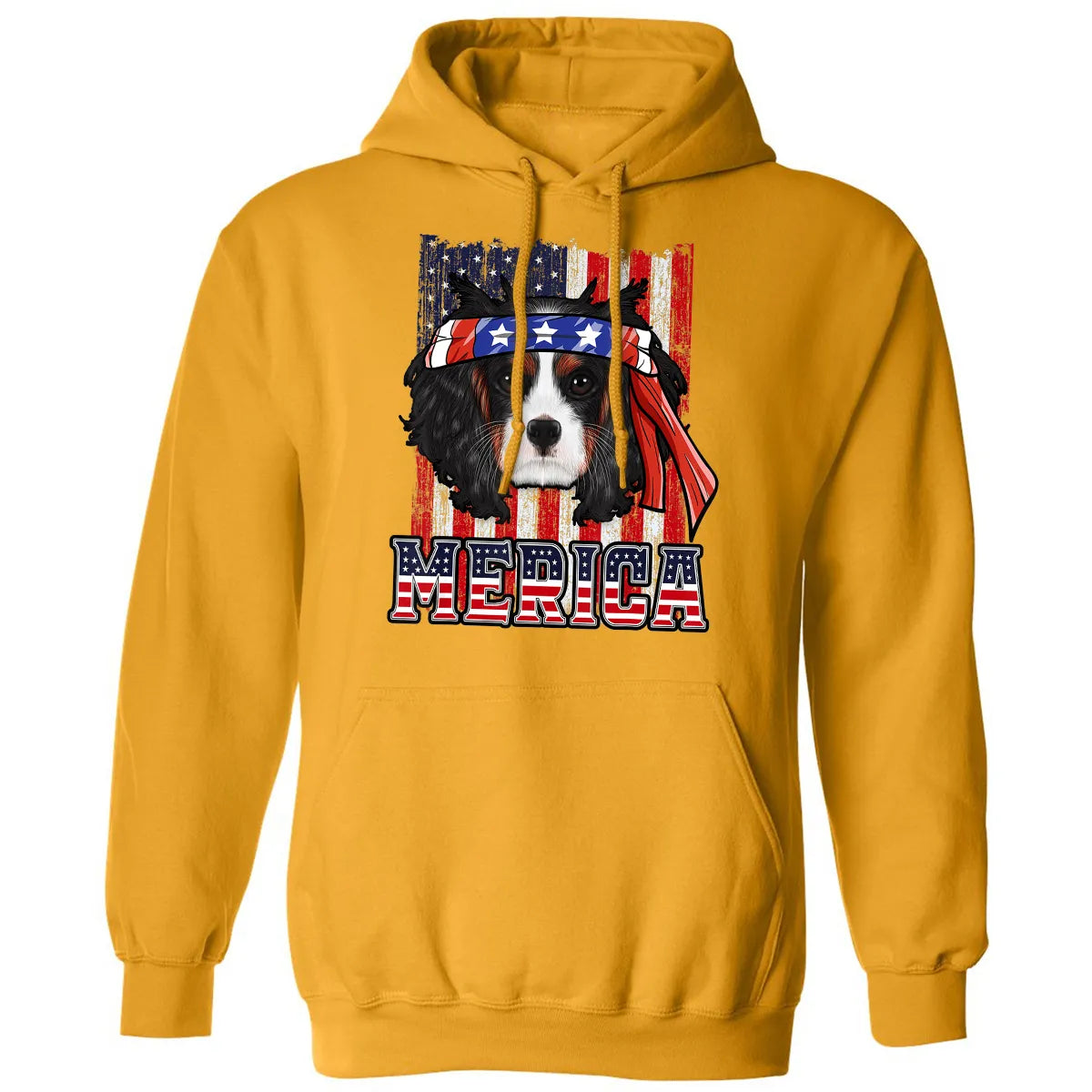 Classic Unisex Hoodie - PAZ9XJ24