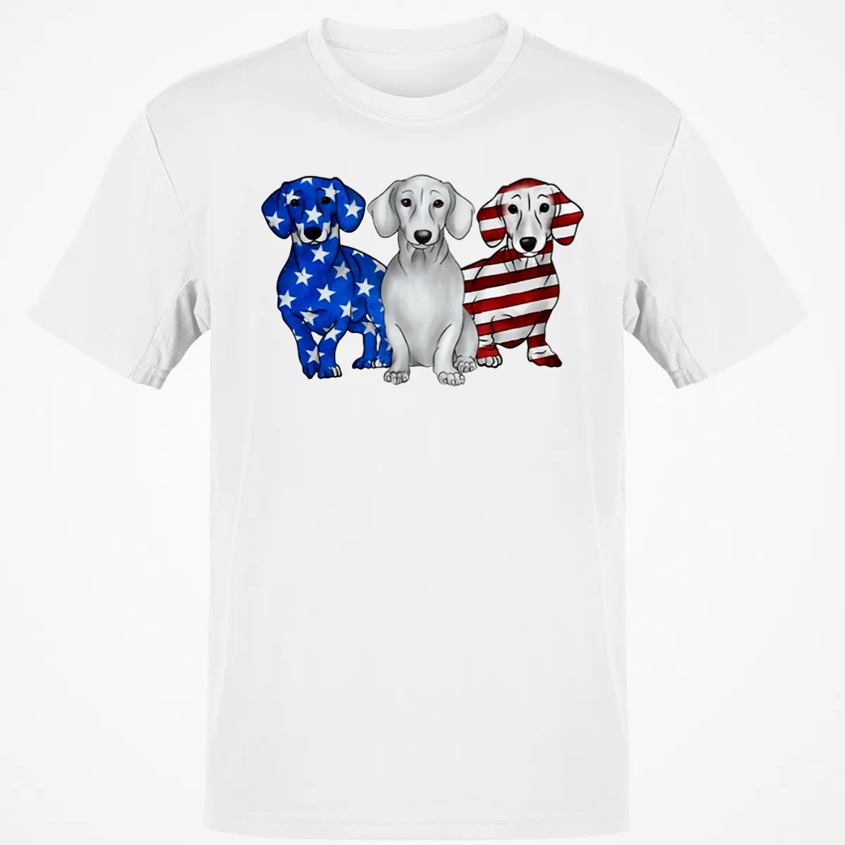Classic Unisex T-Shirt - HTLZZM1J