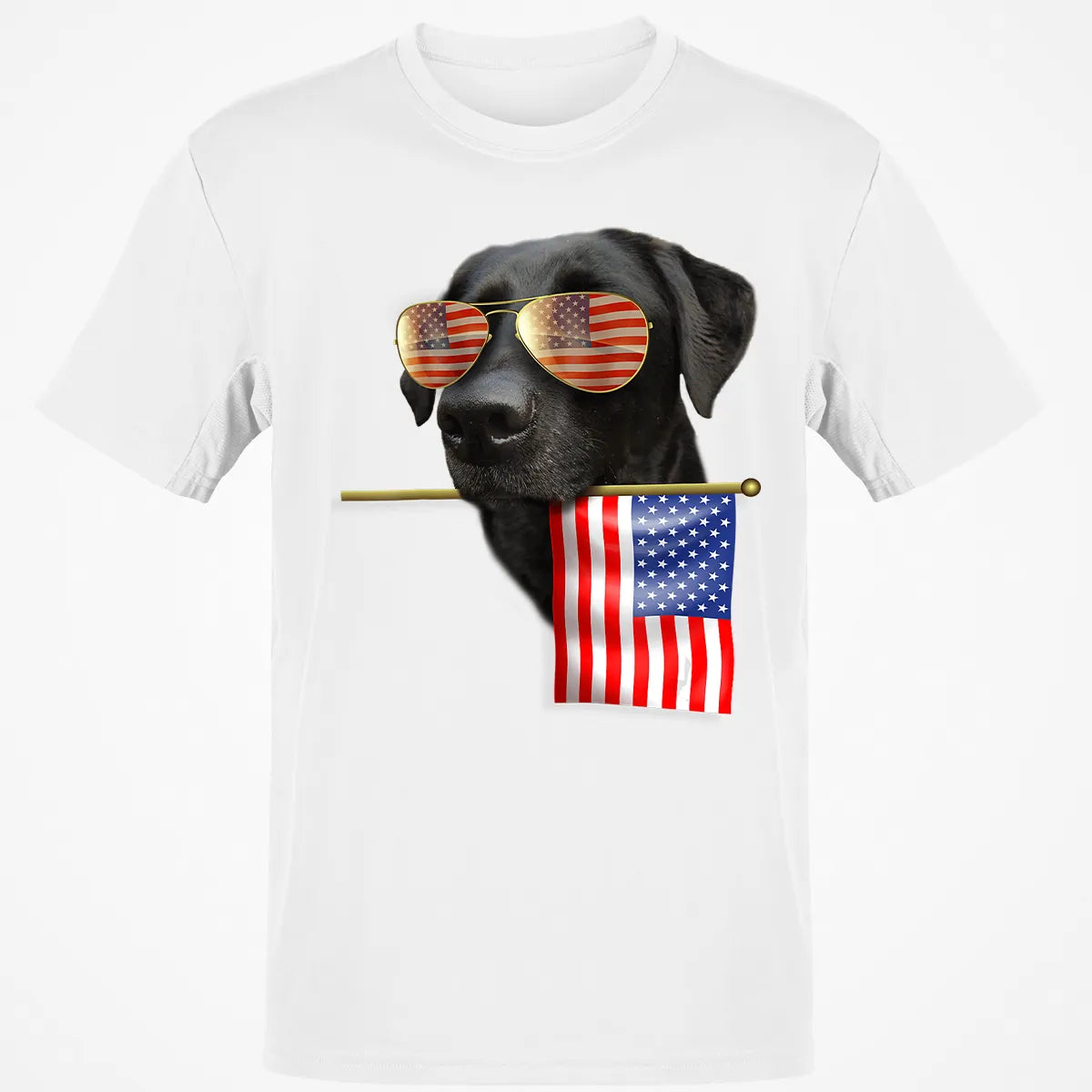 Classic Unisex T-Shirt - Z8V8J6AM
