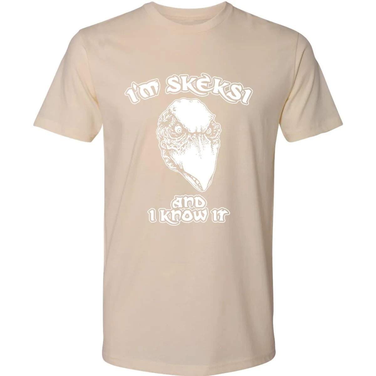Premium Unisex T-shirt - AFEEQHAM