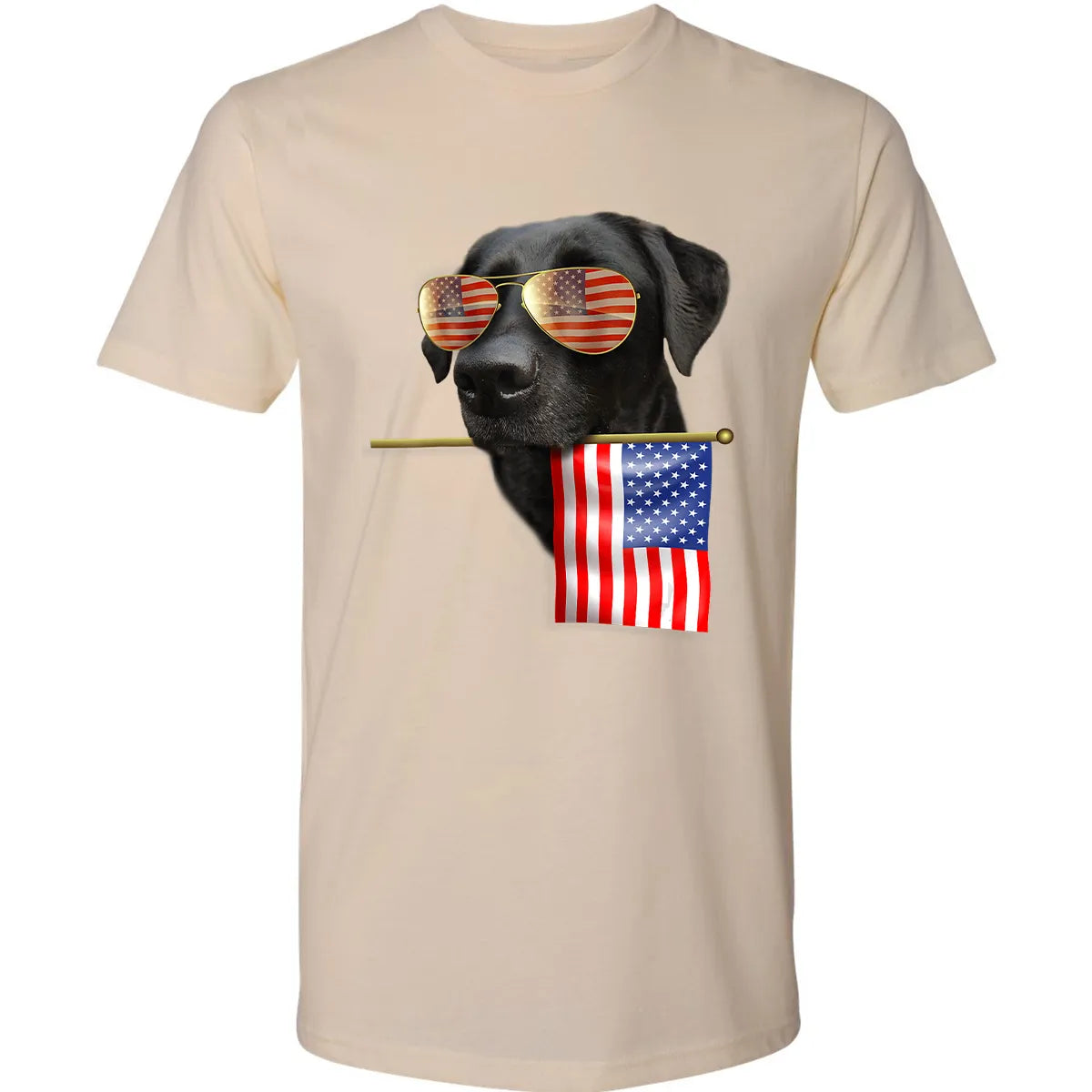 Premium Unisex T-shirt - LM9ZR4N8