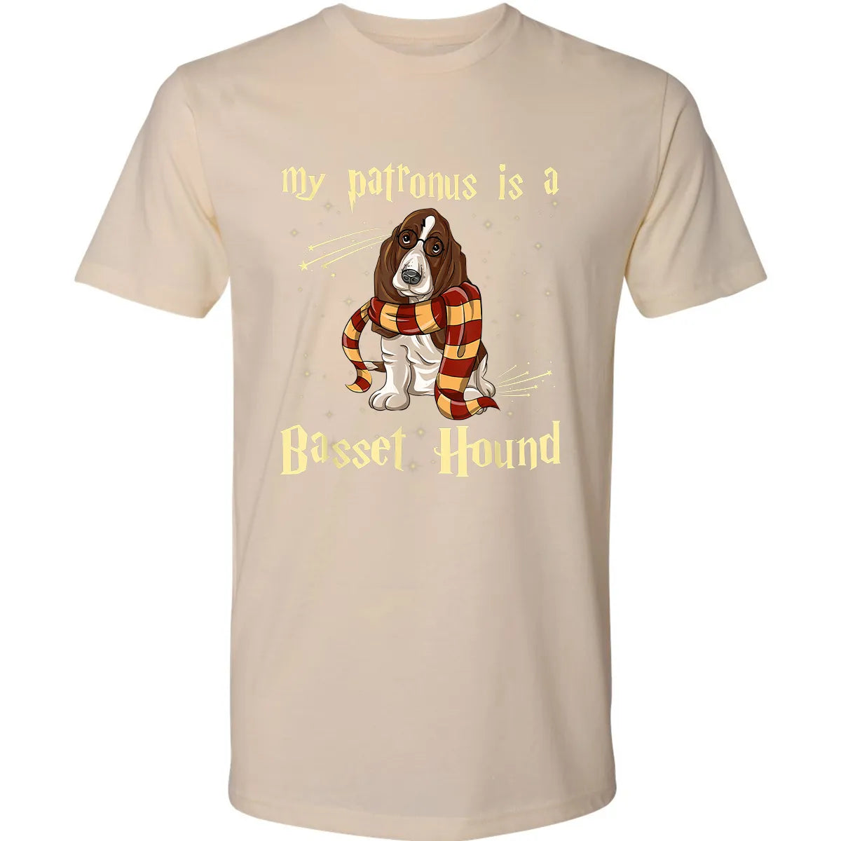 Premium Unisex T-shirt - 6F1J6RFE