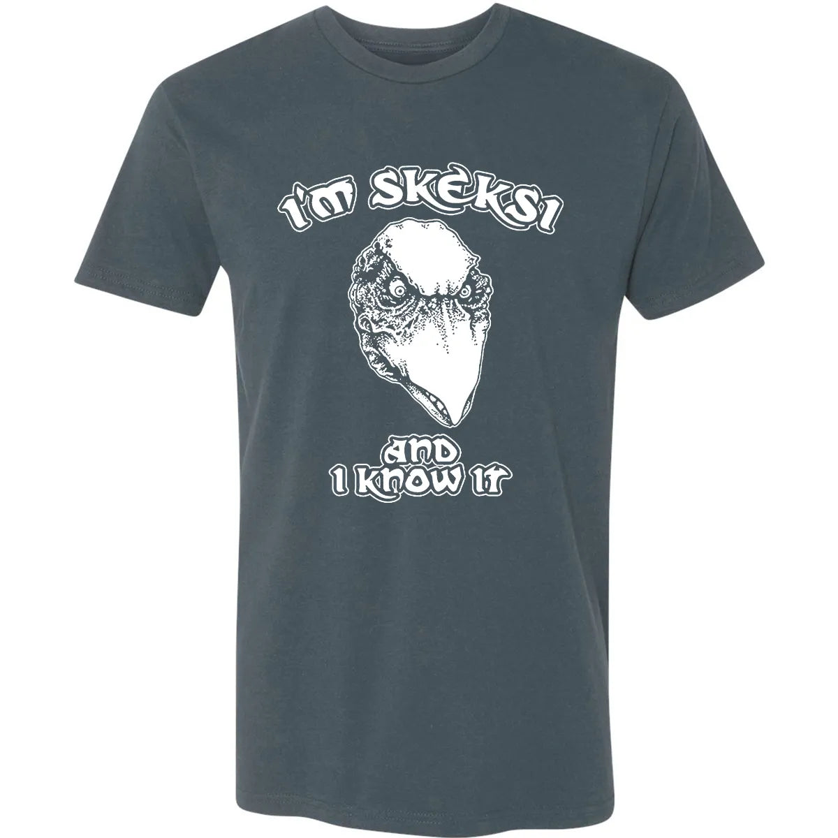 Premium Unisex T-shirt - AFEEQHAM