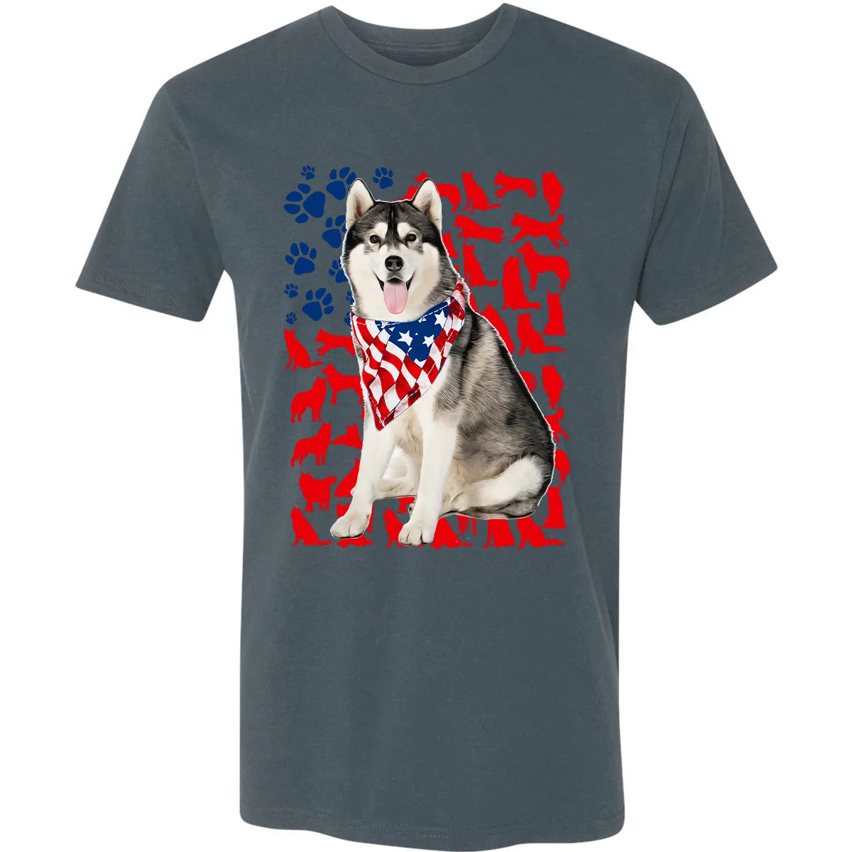 Premium Unisex T-shirt - DWAGXZ5L