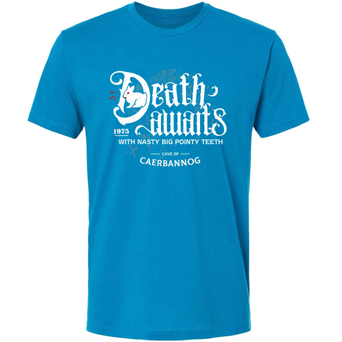Premium Unisex T-shirt - FW89ZP48