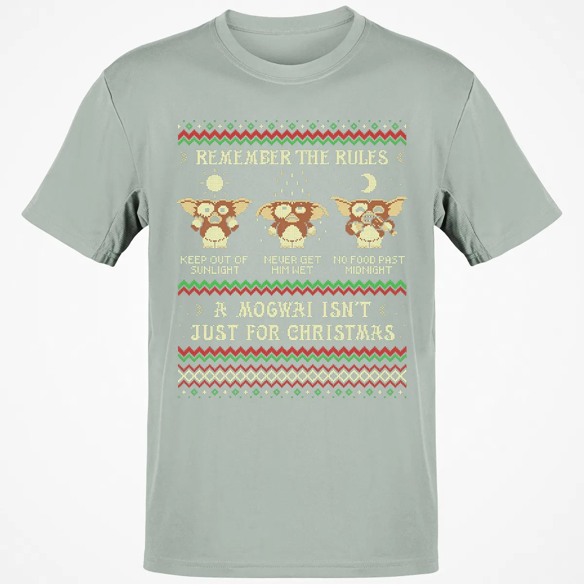 Classic Unisex T-Shirt - 1FWFT5MR