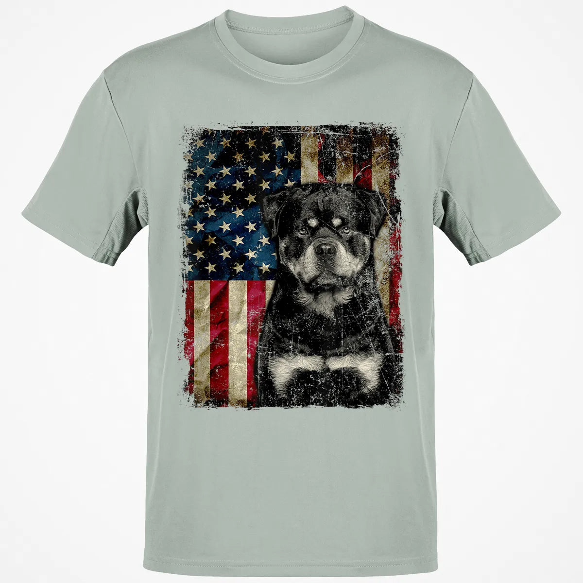 Classic Unisex T-Shirt - 4QSHZ85X