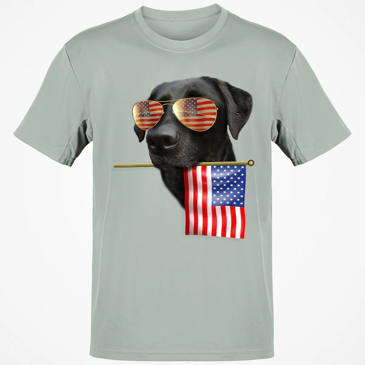 Classic Unisex T-Shirt - Z8V8J6AM