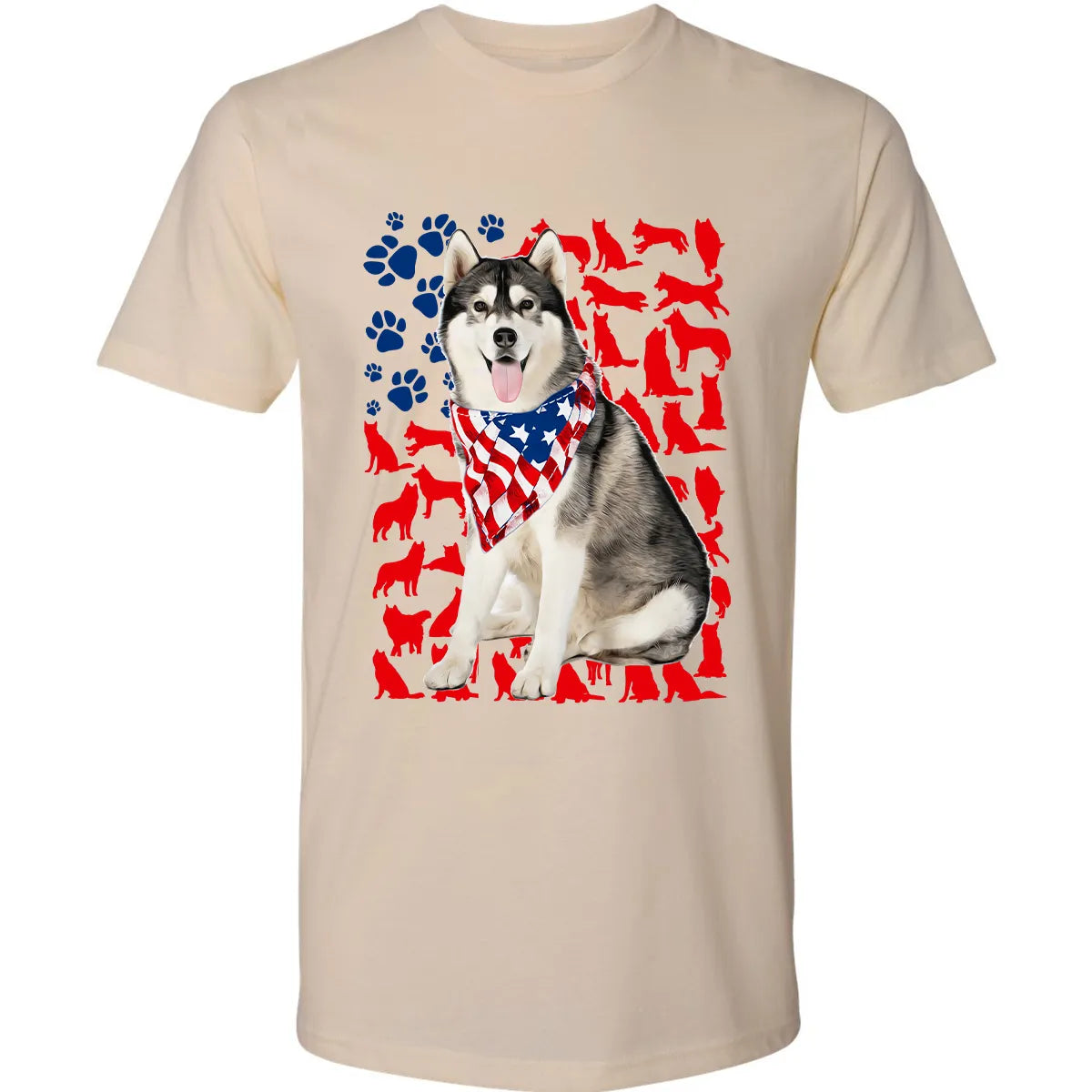 Premium Unisex T-shirt - DWAGXZ5L