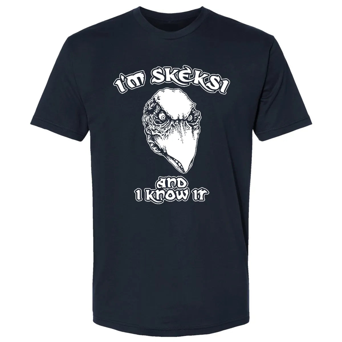 Premium Unisex T-shirt - AFEEQHAM