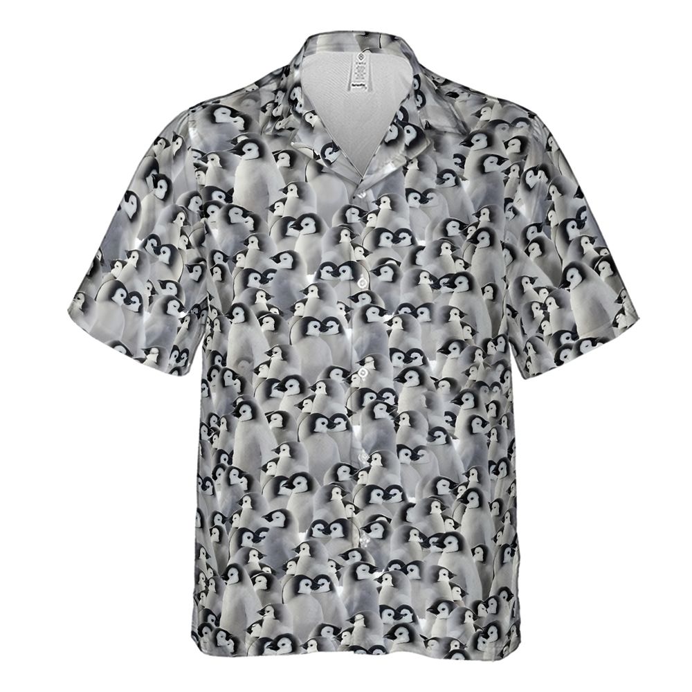 Baby Emperor penguins -  - 2