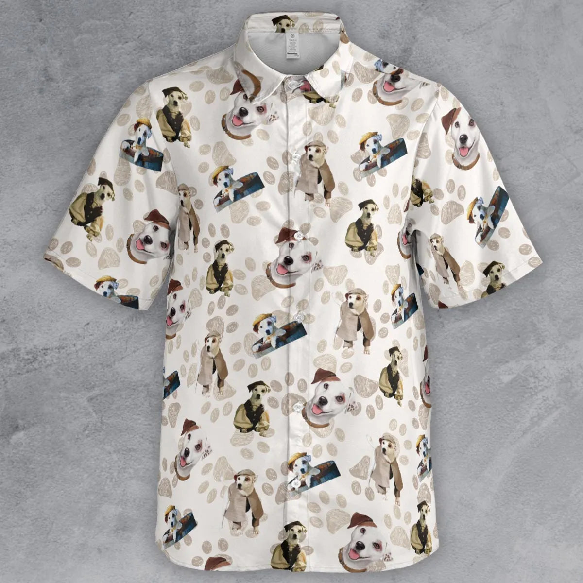 Button Down Shirt - Z317D5VX
