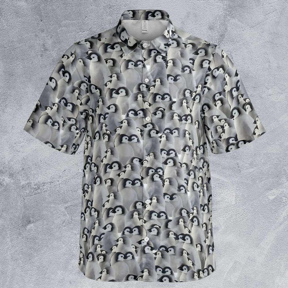 Baby Emperor penguins -  - 2